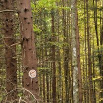Via Transilvanica. Terra Romana. Prisacina- Inelet- Valea Cernei- Obarsia Closani
