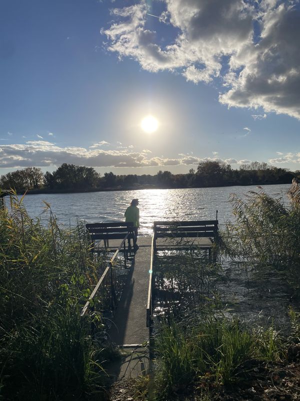 Bajcsy-Zsilinszky Endre utca, Tass nach Bajcsy-Zsilinszky Endre utca, Tass