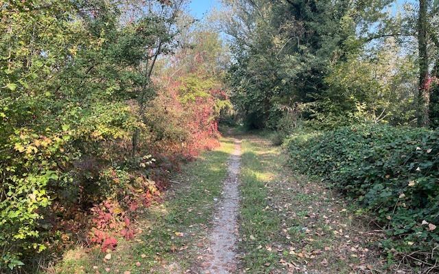 Photo 2 of the Bikemap route "Parco del Basso Serio Seriate- Mozzanica"