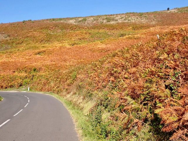 Les Plans (Lodève) to St-Affrique