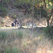 Foto 8 der Bikemap-Route "Les Plans (Lodève) to St-Affrique"