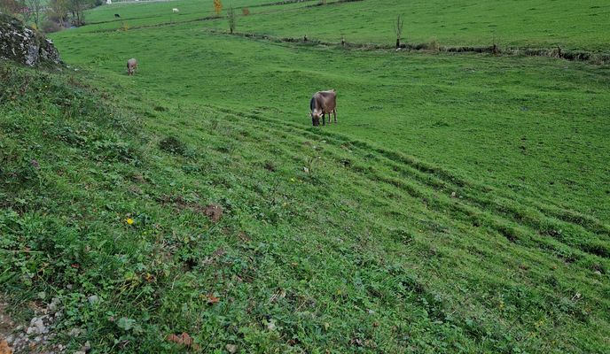 Zdjęcie 2 trasy Bikemap „Ebenalp 1G nach Tösstalstrasse”