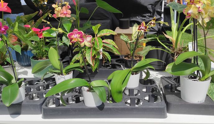 Foto 1 der Bikemap-Route "Eban Avenue to Eban Avenue" Foto 1 der Bikemap-Route "Eban Avenue to Eban Avenue"