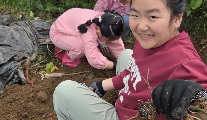 Foto 1 der Bikemap-Route "남면 863-1 ~ 남면 874-3"