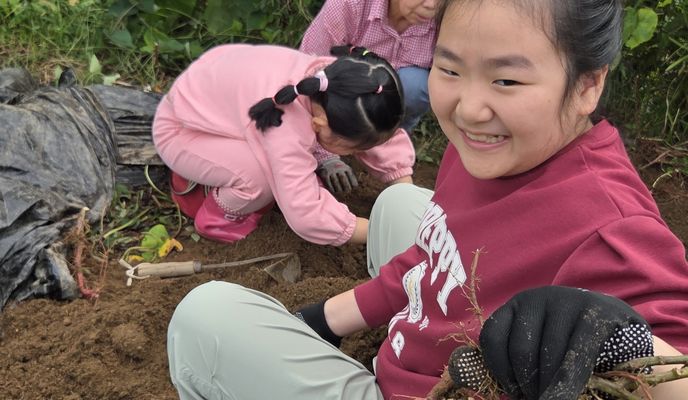 Foto 2 der Bikemap-Route "남면 863-1 ~ 남면 874-3"