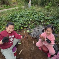 Foto 7 der Bikemap-Route "남면 863-1 ~ 남면 874-3"