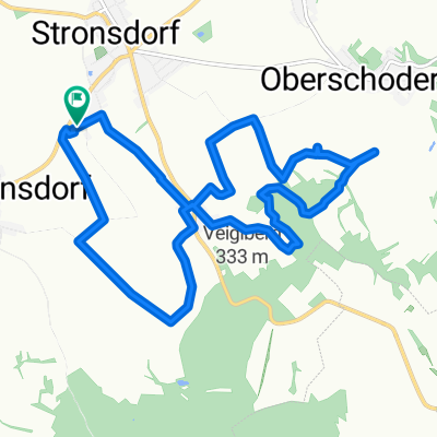 Lauf gleiche Strecke Elite_V8 (12,5km)