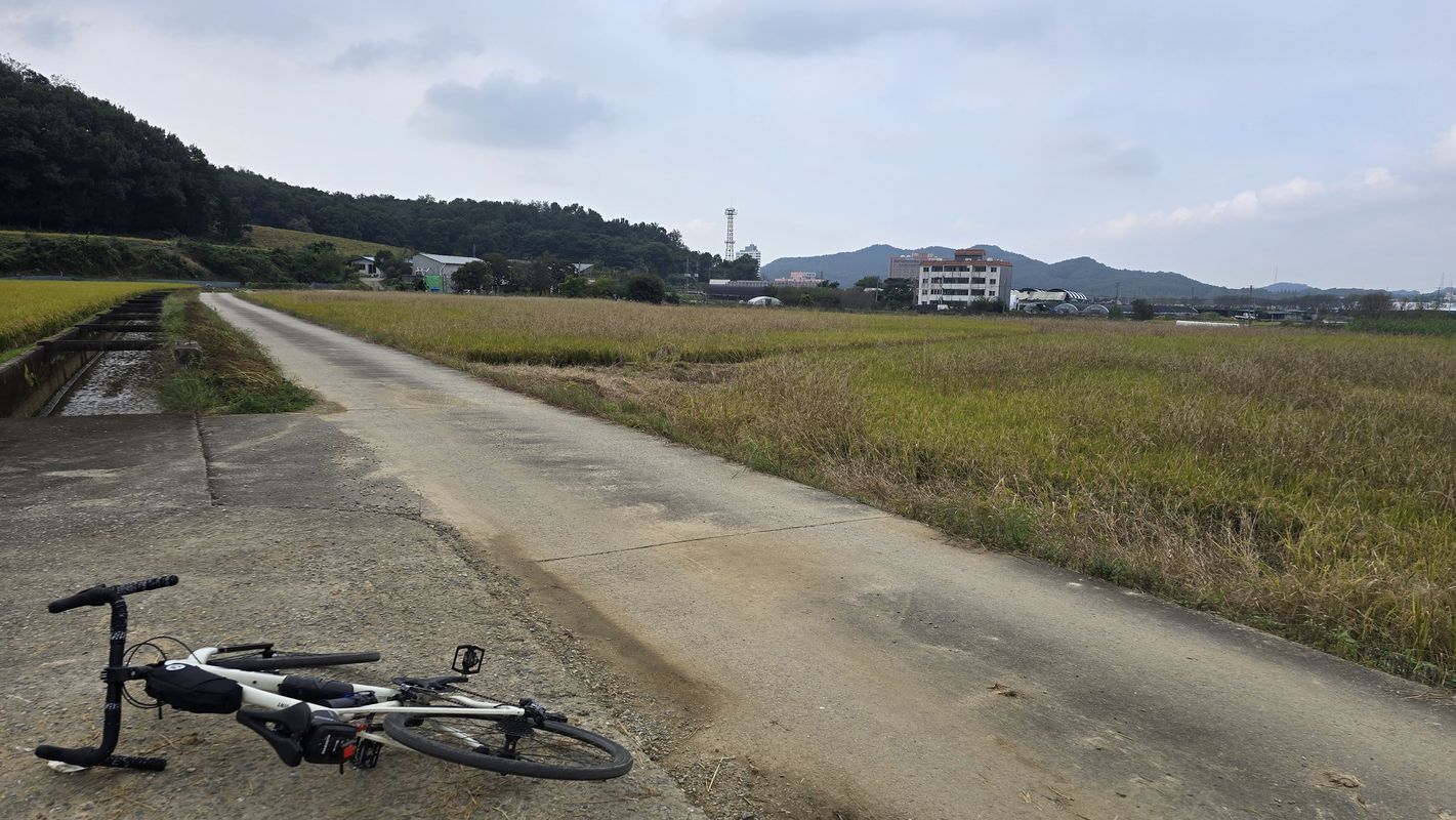 초사동 449-8 ~ 초사동 474-1