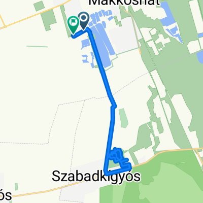 Kereki út, Békéscsaba to Nagy Sándor József utca, Békéscsaba