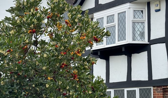 Photo 1 of the Bikemap route "Ursula Street, London to Dimson Lodge, London" Photo 1 of the Bikemap route "Ursula Street, London to Dimson Lodge, London"