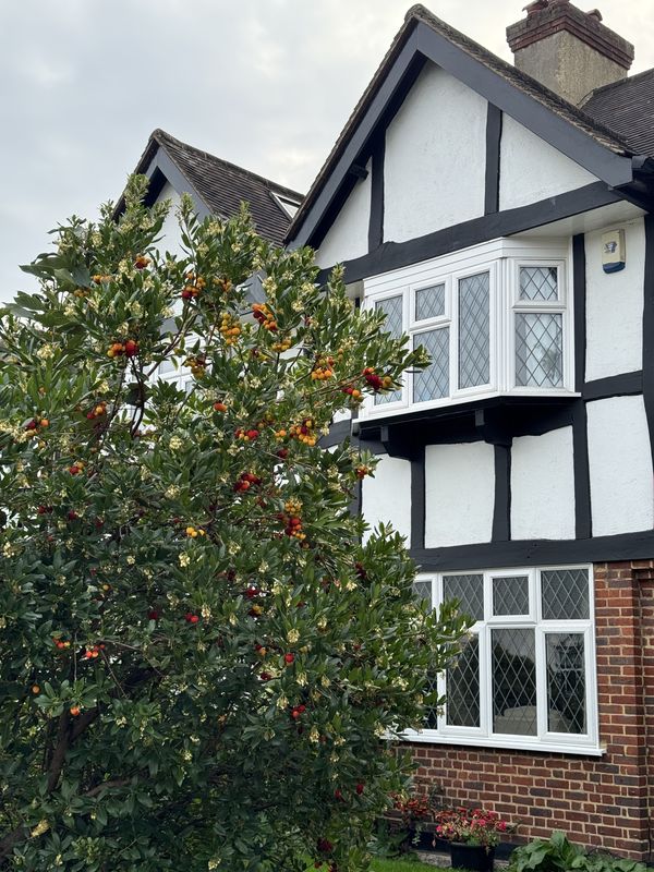 Ursula Street, London to Dimson Lodge, London