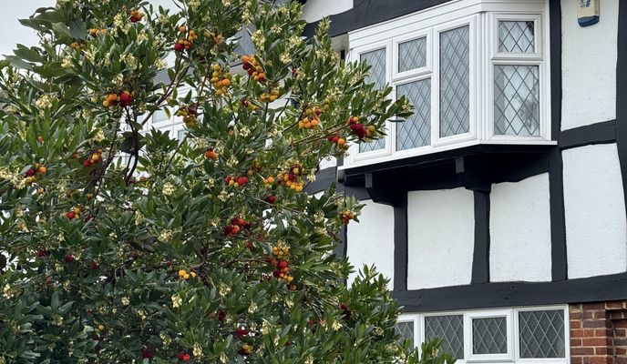 Photo 2 of the Bikemap route "Ursula Street, London to Dimson Lodge, London" Photo 2 of the Bikemap route "Ursula Street, London to Dimson Lodge, London"