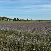 Lausiger-Teich-Straße, Bad Schmiedeberg nach Lindenstraße, Bad Schmiedeberg