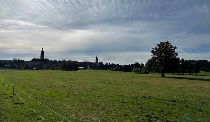 Foto 2 der Bikemap-Route "Lausiger-Teich-Straße, Bad Schmiedeberg nach Lindenstraße, Bad Schmiedeberg"