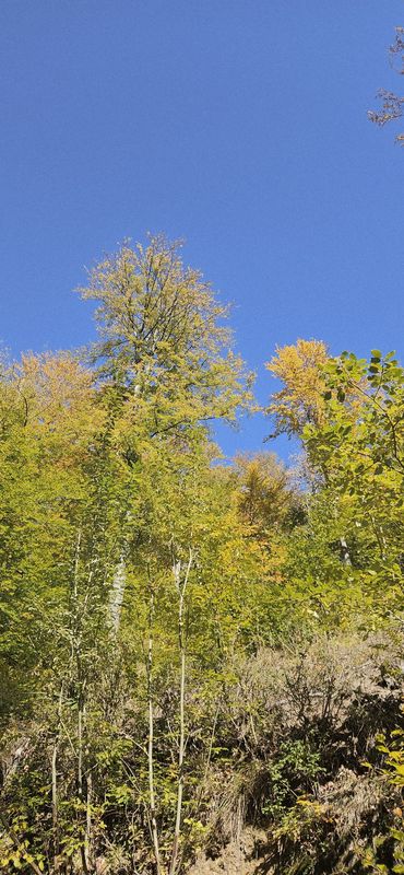 Tură Călimănești