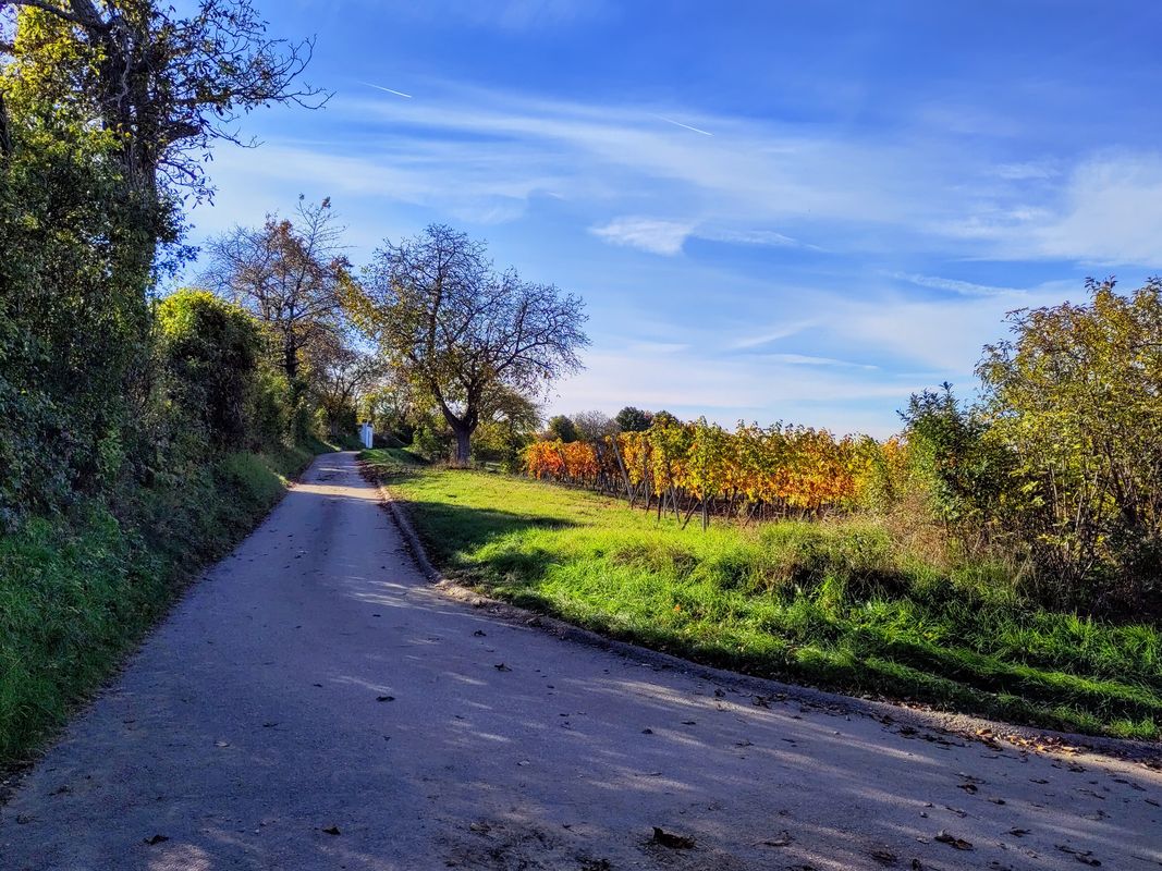 Retz - Eurovelo und Weinviertel Radwege - Hollabrunn