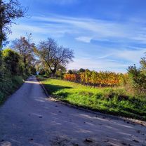 Retz - Eurovelo und Weinviertel Radwege - Hollabrunn