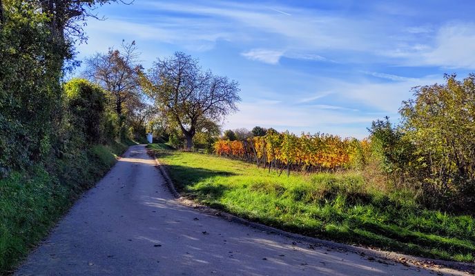 Foto 1 der Bikemap-Route "Retz - Eurovelo und Weinviertel Radwege - Hollabrunn" Foto 1 der Bikemap-Route "Retz - Eurovelo und Weinviertel Radwege - Hollabrunn"