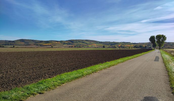 Foto 2 der Bikemap-Route "Retz - Eurovelo und Weinviertel Radwege - Hollabrunn" Foto 2 der Bikemap-Route "Retz - Eurovelo und Weinviertel Radwege - Hollabrunn"