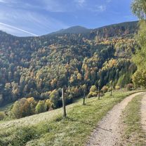 Zum Gahnsbauer, Puchberg am Schneeberg to Gösinggasse, Ternitz