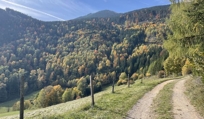 Foto 1 der Bikemap-Route "Zum Gahnsbauer, Puchberg am Schneeberg to Gösinggasse, Ternitz" Foto 1 der Bikemap-Route "Zum Gahnsbauer, Puchberg am Schneeberg to Gösinggasse, Ternitz"