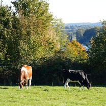 Malente, Plön und viel Wasser
