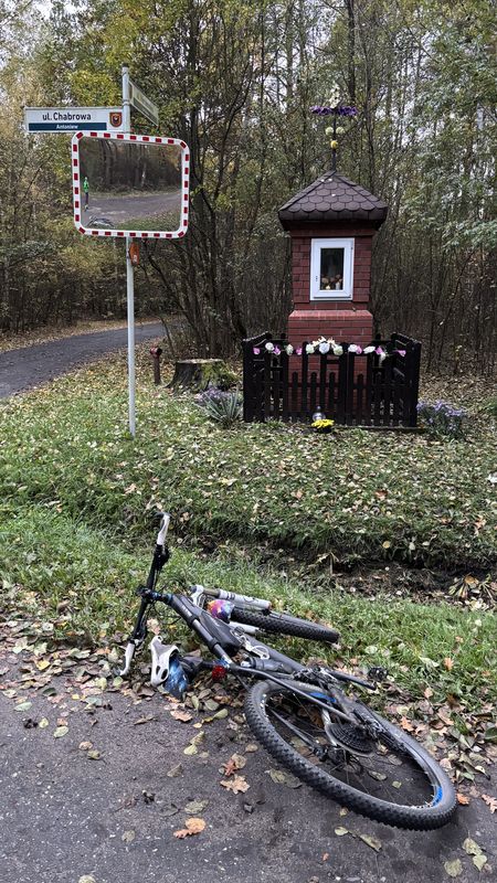 Króla J Sobieskiego, Puszcza Mariańska do Króla J Sobieskiego, Puszcza Mariańska