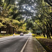 Antigua Guatemala to Antigua Guatemala