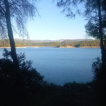 De Avinguda Francesc Tàrrega a Carrer Manuel Sanchis Guarner