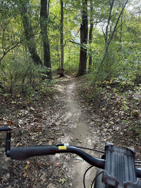 Wakefield Mtn Bike Trails