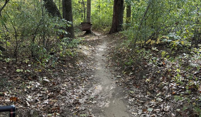 Zdjęcie 1 trasy Bikemap „Wakefield Mtn Bike Trails”