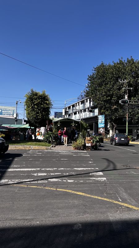 Calle Petén, Benito Juárez a Calle Petén, Benito Juárez