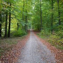 Photo 8 of the Bikemap route "Malente, Eutin, Kellersee"