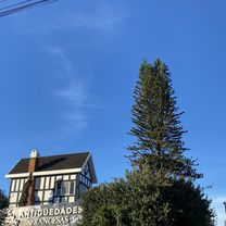 Foto 7 de la ruta de Bikemap "Avenida 51, San José a Calle 44, San José"