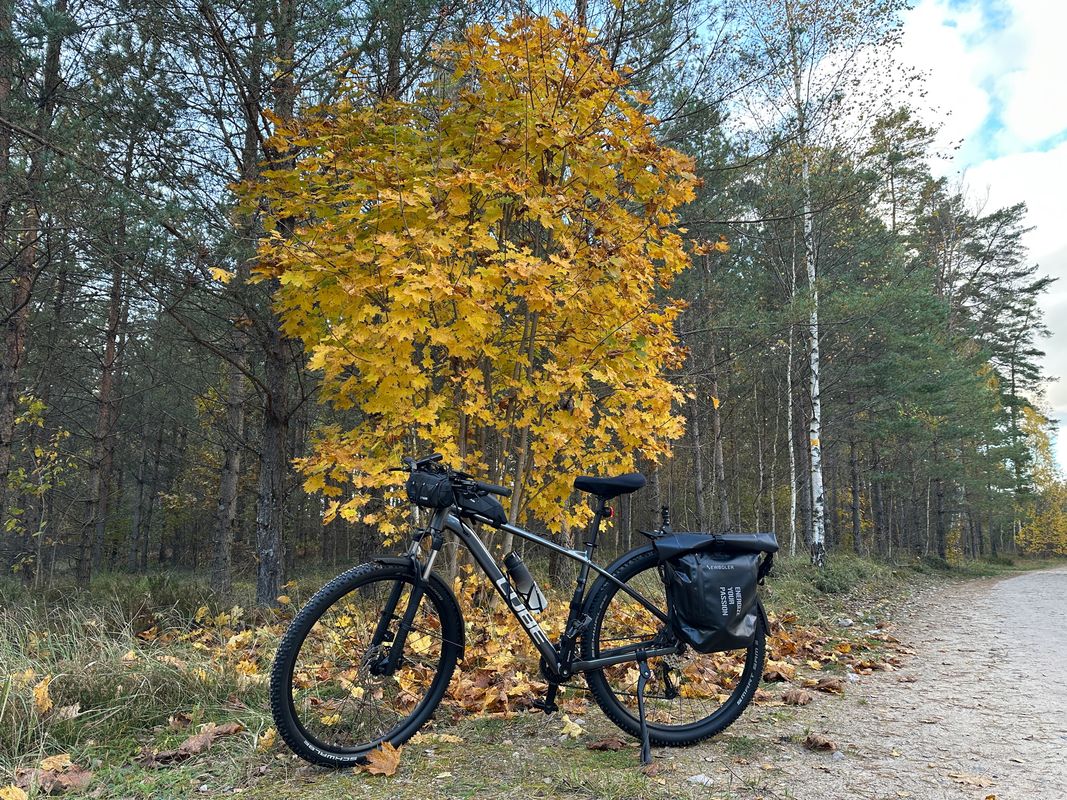 A. Čaka iela, Рига до A. Čaka iela, Рига