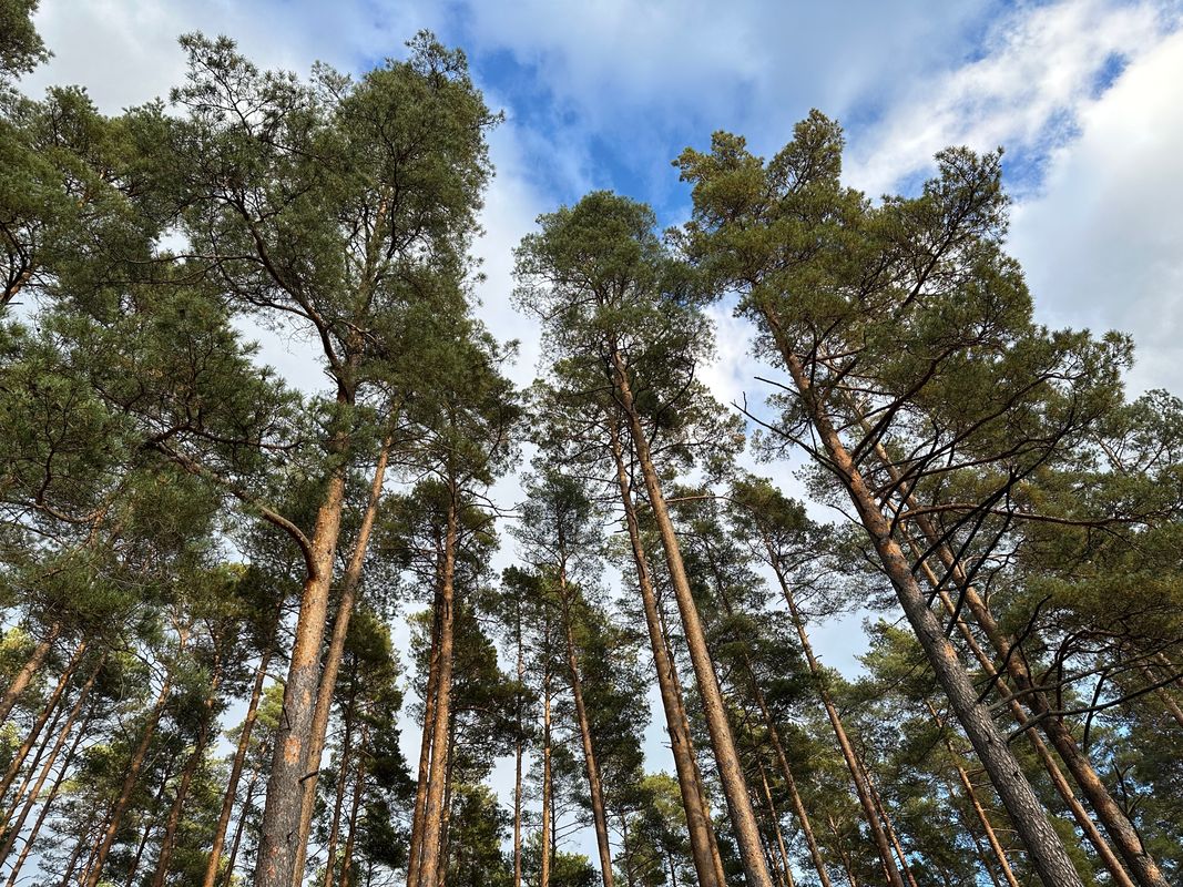 A. Čaka iela, Рига до A. Čaka iela, Рига