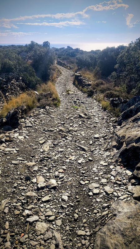 17 Roses Fràgam Peni Romanyac Perafita Bufadors Infern Cadaqués Manyana Canadell Montjoi Mirador-Falconera