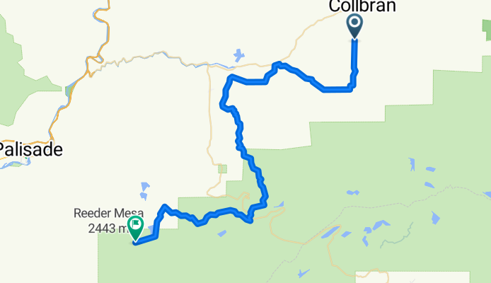 Clifton + Clifton - Loma