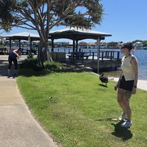 Harbour Parade to Harbour Parade