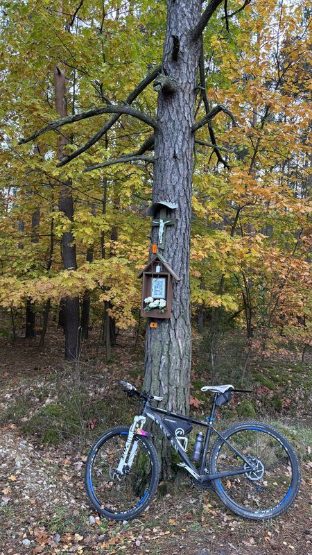 Króla J Sobieskiego, Puszcza Mariańska do Króla J Sobieskiego, Puszcza Mariańska