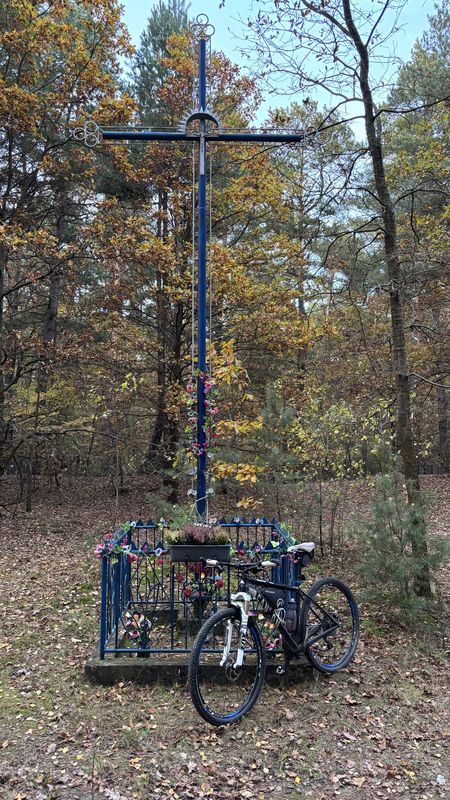 Króla J Sobieskiego, Puszcza Mariańska do Króla J Sobieskiego, Puszcza Mariańska