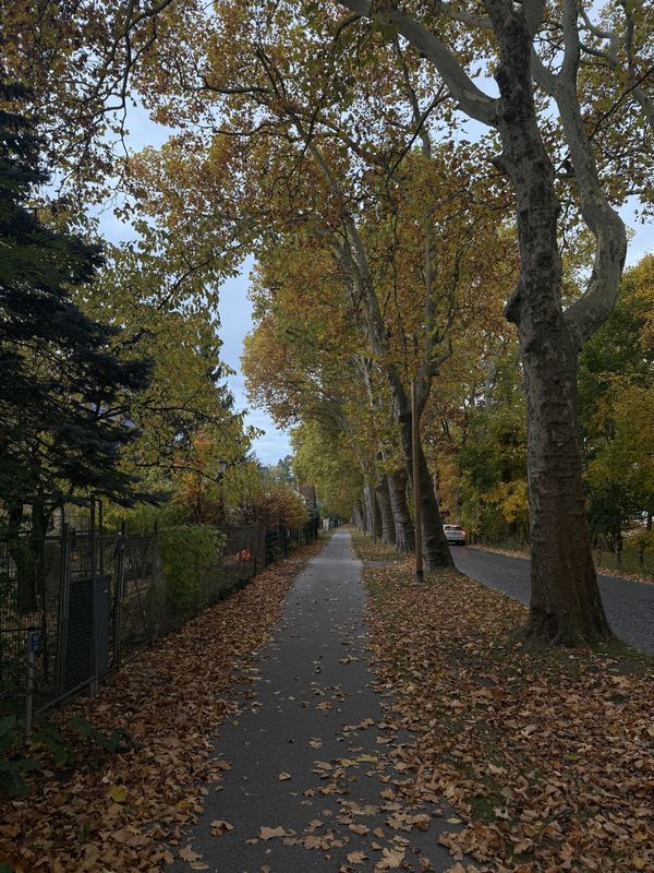 Bornhagenweg, Berlin do Trebbiner Straße, Blankenfelde-Mahlow