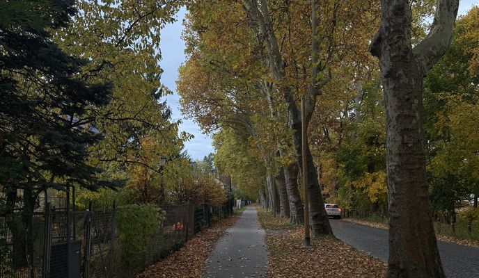 Foto 1 de la ruta de Bikemap "Bornhagenweg, Berlin do Trebbiner Straße, Blankenfelde-Mahlow"