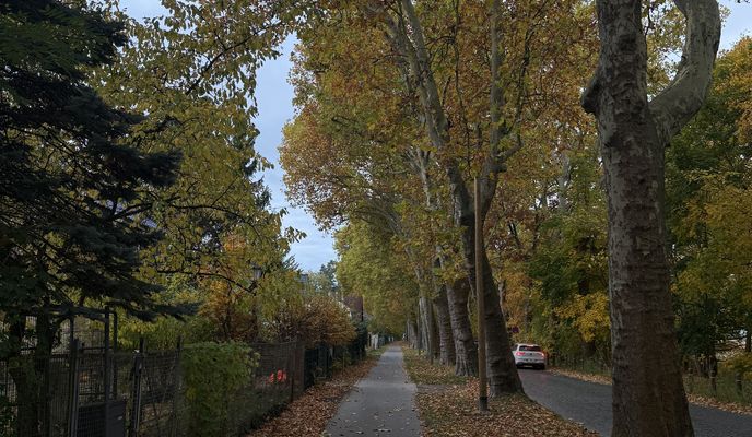 Foto 2 de la ruta de Bikemap "Bornhagenweg, Berlin do Trebbiner Straße, Blankenfelde-Mahlow"