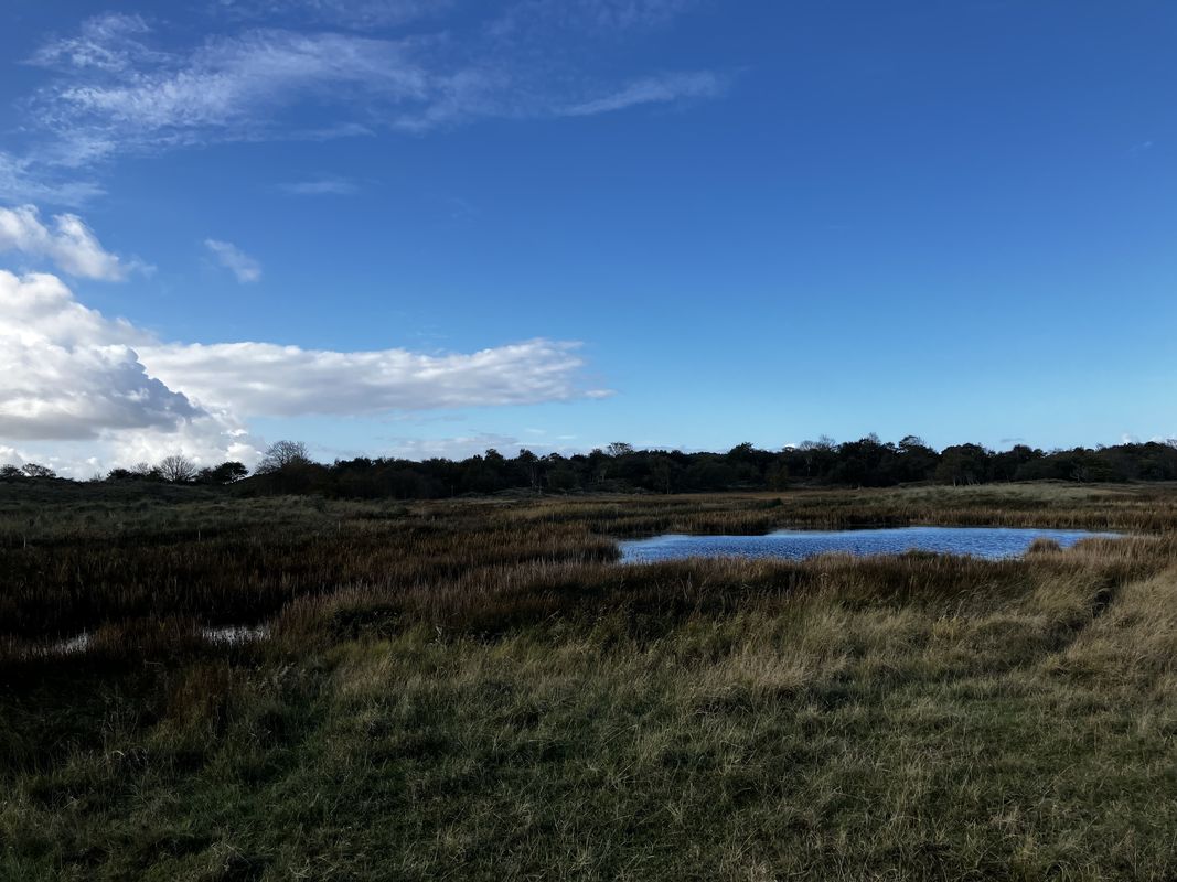 Badweg, Schiermonnikoog naar Reeweg, Schiermonnikoog