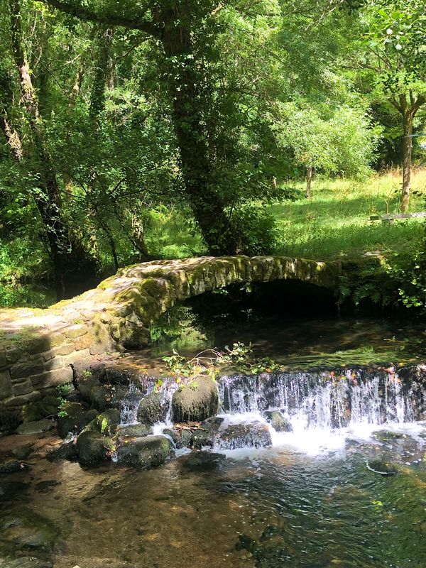 SCQ 2, Santiago de Compostela, Zur Paradela- Brücke und zurück teilweise Camino