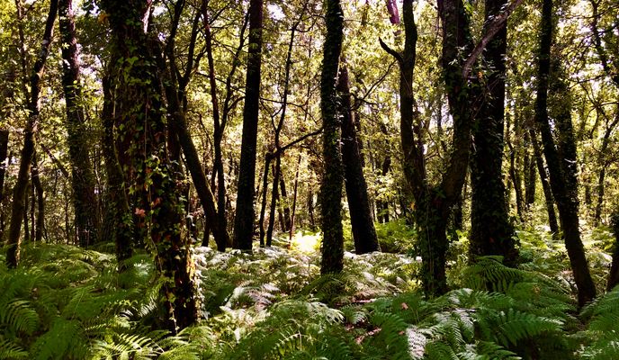 Foto 1 de la ruta de Bikemap "SCQ 4, Santiago de Compostela, Runde nach Padrón"