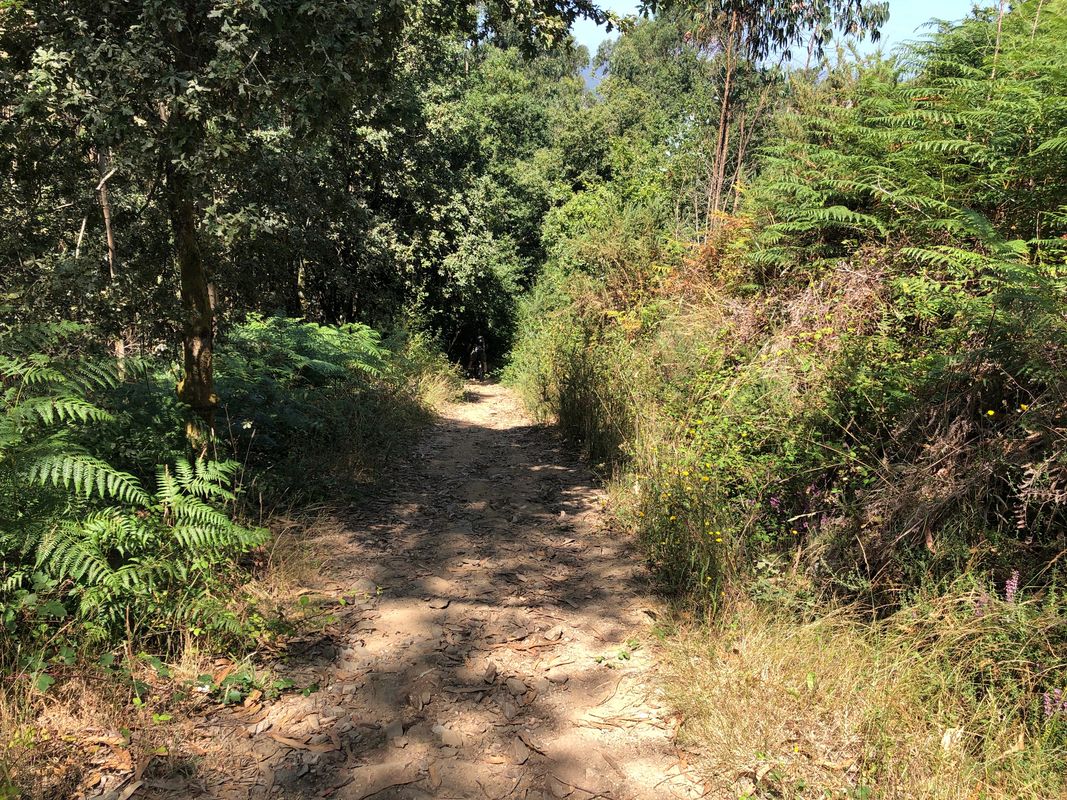 SCQ 6, Santiago de Compostela, Tour zum Monte Viso und Monte Gozo