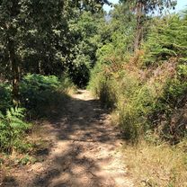 SCQ 6, Santiago de Compostela, Tour zum Monte Viso und Monte Gozo