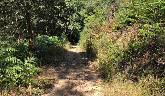 Foto 1 de la ruta de Bikemap "SCQ 6, Santiago de Compostela, Tour zum Monte Viso und Monte Gozo"